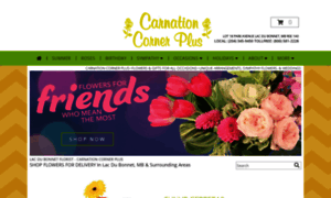 Carnationcornerplus.com thumbnail
