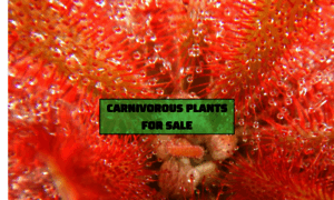 Carnivorousplantsusa.com thumbnail