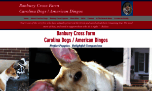 Carolinadogs.com thumbnail