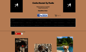 Carolinamountaintoypoodles.com thumbnail