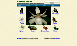 Carolinanature.com thumbnail