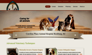 Carolinaplaceanimalhospitalrichburg.com thumbnail