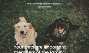 Carolinasanimalhospital.com thumbnail