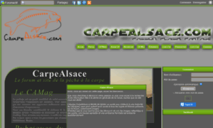 Carpealsace.com thumbnail
