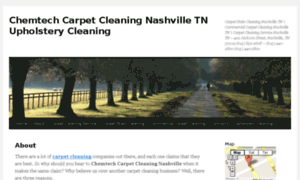 Carpet-cleaning-nashville.info thumbnail