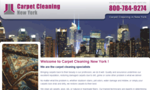 Carpet-cleaning-new-york.info thumbnail