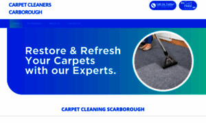 Carpetcleanerscarborough.com.au thumbnail