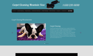 Carpetcleaning-mountainview.com thumbnail