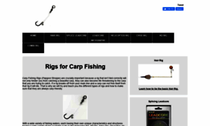 Carpfishingrigs.co.za thumbnail