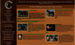 Carterperformancehorses.com thumbnail