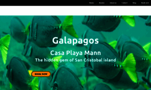 Casaplayamann.com thumbnail