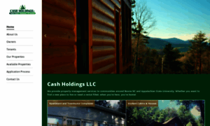 Cashholdingsllc.com thumbnail