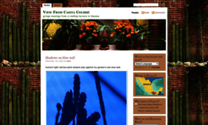 Casita-colibri.blog thumbnail