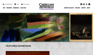 Castellaniartmuseum.org thumbnail