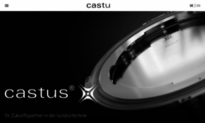 Castus.pro thumbnail