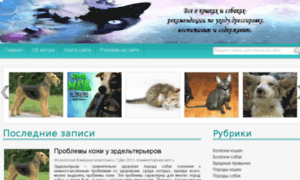 Cat-and-dogs.ru thumbnail