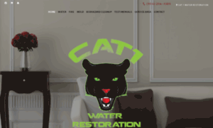 Cat1waterrestoration.com thumbnail