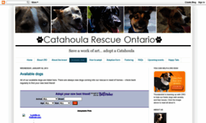 Catahoularescueontario-adopt-a-dog.blogspot.ca thumbnail