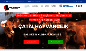 Catal-kurbanlik-balikesir.com thumbnail