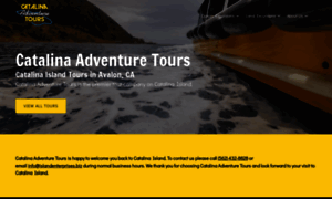 Catalinaadventuretours.com thumbnail