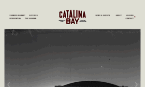 Catalinabay.co.nz thumbnail