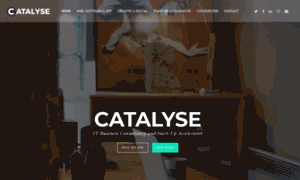 Catalyse.business thumbnail