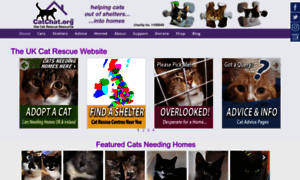 Catchat.org thumbnail