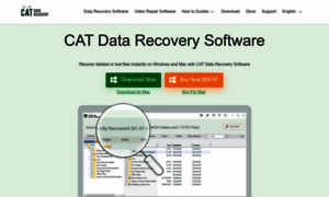 Catdatarecovery.com thumbnail