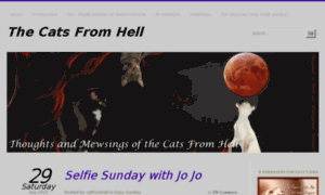 Catfromhell.wordpress.com thumbnail