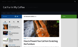 Catfurinmycoffee.com thumbnail