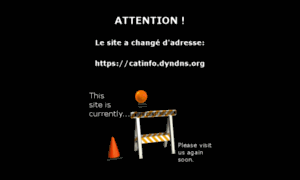 Catinfo.dyndns.org thumbnail