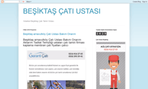 Catiustasibesiktas.com thumbnail