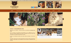 Catlove.fr thumbnail