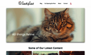 Catlycat.com thumbnail