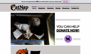 Catnapsociety.com thumbnail