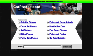 Catphotos.com thumbnail