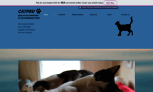 Catproqualitycatfurniture.com thumbnail