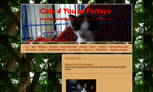 Cats4youinpattaya.webs.com thumbnail