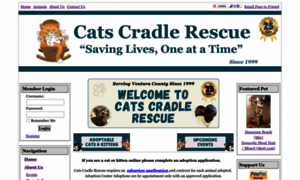 Catscradlerescue.org thumbnail