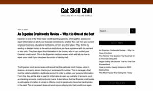Catskillchill.com thumbnail