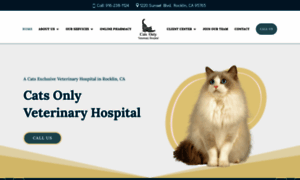 Catsonlyvethospital.com thumbnail