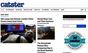 Catster.com thumbnail