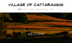 Cattaraugusny.org thumbnail