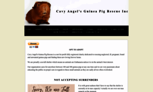 Cavyangelsguineapigrescue.com thumbnail