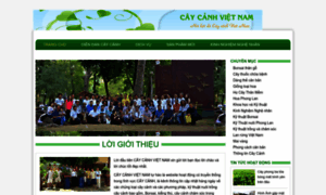 Caycanhvietnam.com thumbnail