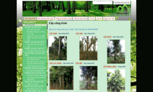 Caycongtrinh.com.vn thumbnail