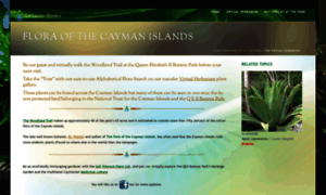 Caymanflora.org thumbnail