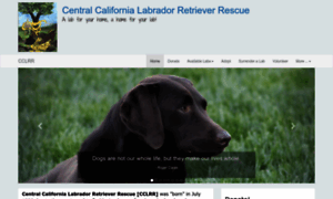 Cc-labrescue.org thumbnail