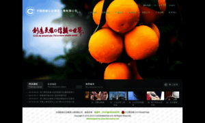 Ccicshanghai.com thumbnail