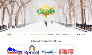 Ccin.com thumbnail